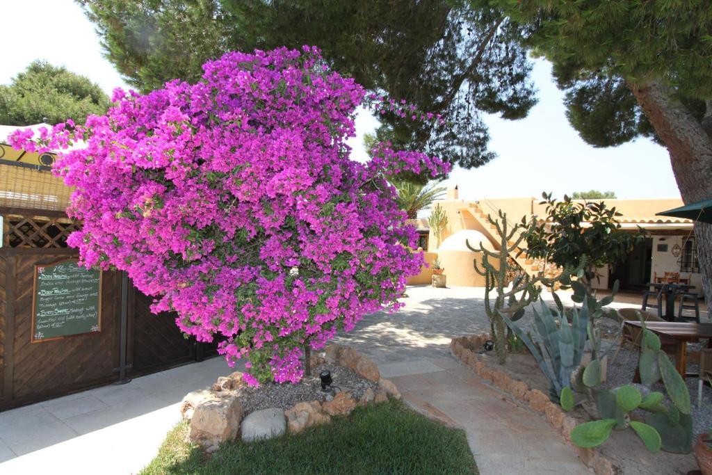 Finca Can Toni Sant Jordi de ses Salines 외부 사진